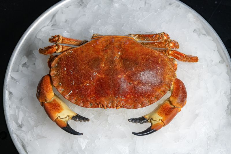KING CRAB WHOLE FROZEN