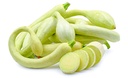 ZUCCHINI TRUMPET 