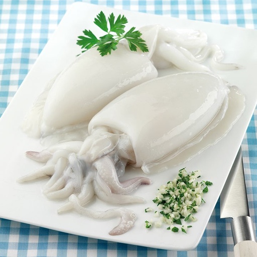 CUTTLEFISH