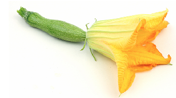 BABY ZUCCHINI WITH FLOWER