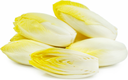 CHICORY - ENDIVE YELLOW