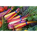 CHARD COLOURED MIX
