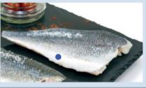[Filet de daurade royale AP 140/160 Origine Turquie 5kg] ROYAL SEA BREAM FILLET 140/160 G IQF