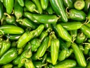 CHILLI JALAPENO GREEN