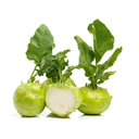 KOHLRABI GREEN