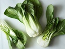 PAK CHOI