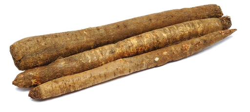 SALSIFY