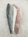 SEA BASS FILLET 140/160 G IQF