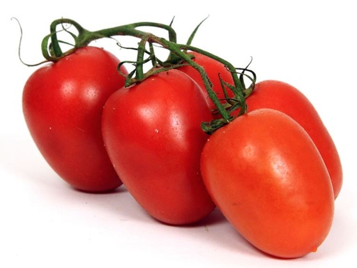 TOMATO ROMA