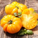 TOMATO PINEAPPLE (YELLOW)