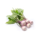 TURNIP