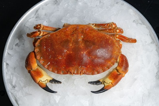KING CRAB WHOLE FROZEN